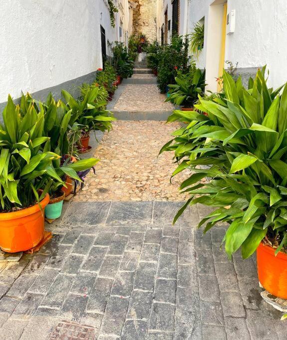 דירות Cogollos De La Vega Mi Rincon Favorito מראה חיצוני תמונה